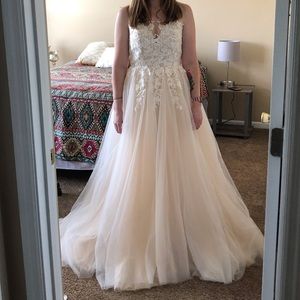 Champagne Tulle Wedding Gown